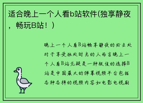 适合晚上一个人看b站软件(独享静夜，畅玩B站！)